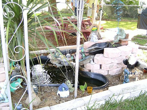 Pond in front yard