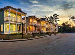 3 Black Dog Ln, Spring, TX 77389