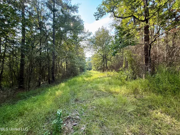 5450 Jernigan Rd, Liberty, MS 39645