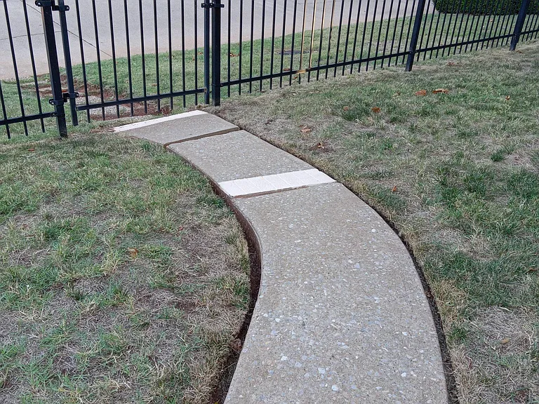Walkway through yard