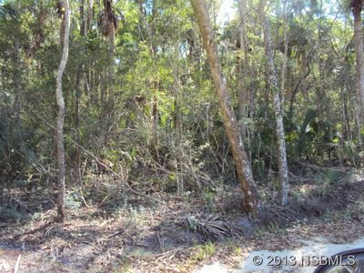 1410 Volco Rd, Edgewater, FL, 32141