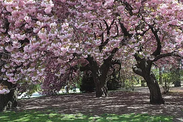 Rented by Metropolitan Realty