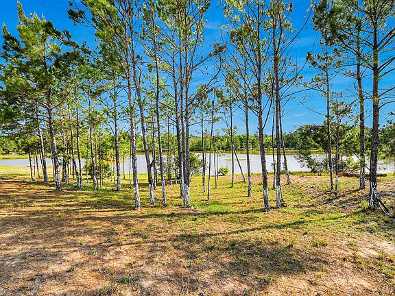 3rd image of 20065 Spring Hill Ln