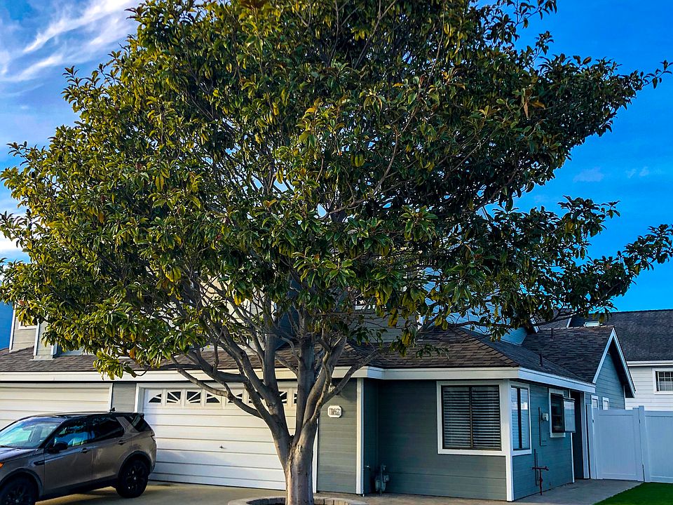 New yard, paint, roof, fence