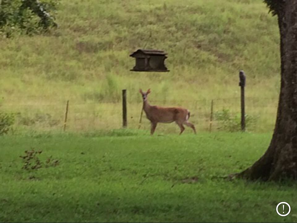 1st image of 274 County Road 611