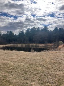 LOT 3 County Road 1813, Yantis, TX, 75497