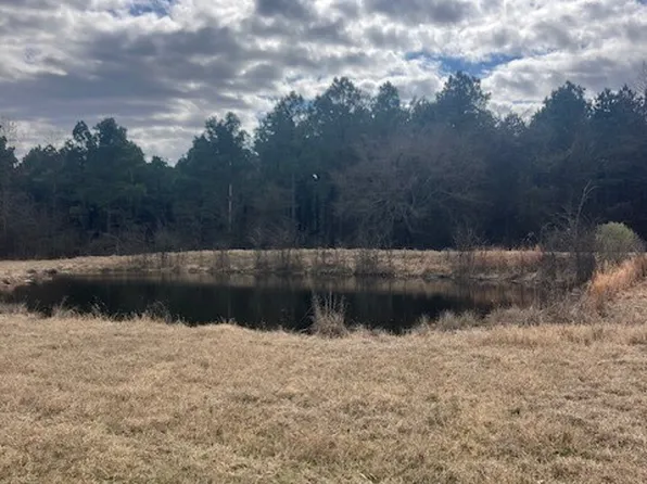 LOT 3 County Road 1813, Yantis, TX 75497