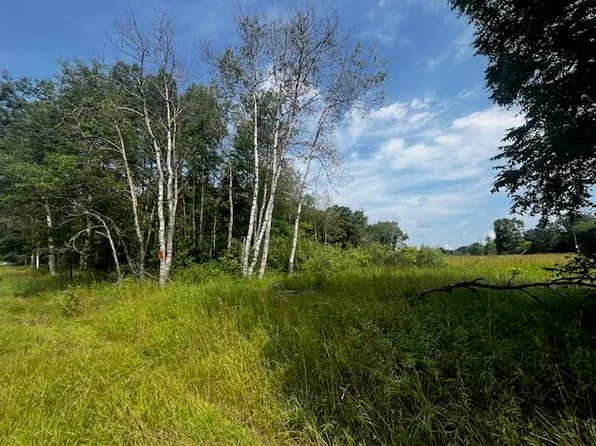 Vl Par B 17 Mile Rd, Bitely, MI 49309