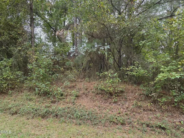 0 Camelia Rd, Benson, NC 27504