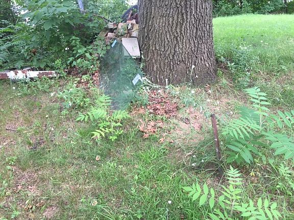 4th image of .65 Acres South Of N1062 Shore Dr