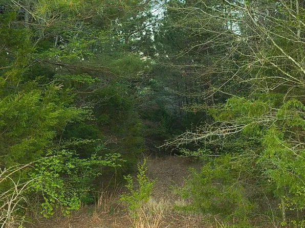 10834 County Road 4162, Tyler, TX 75704