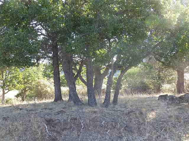 2nd image of Lot 633