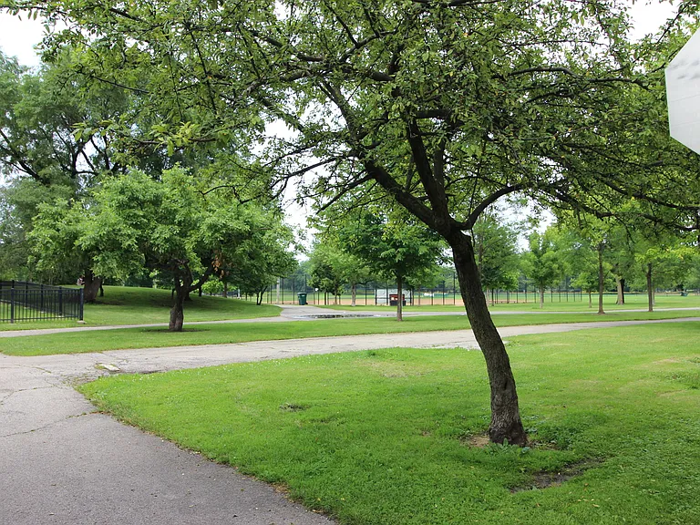 Andromeda Arthur, LLC — Photo 12