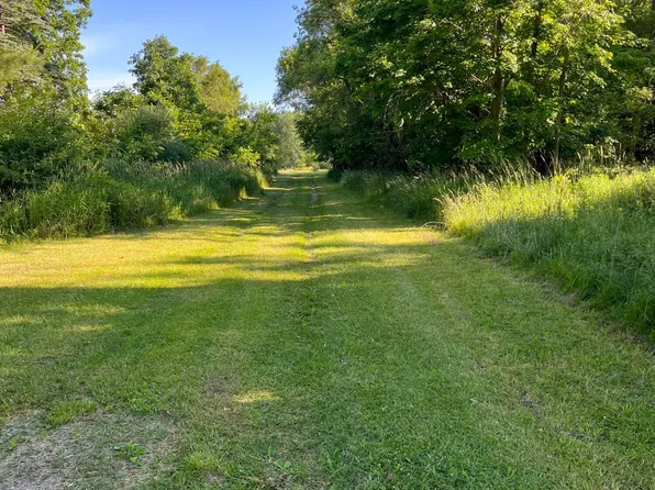 720 E Race St, Leslie, MI 49251