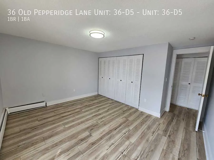 1 bed, 700 sqft, $1,650 — Photo 3