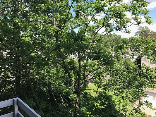 Rented by GTM Property Group  | media 51