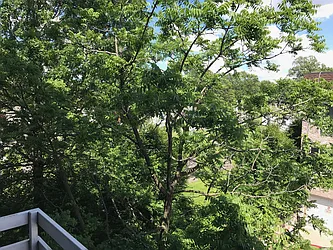 Rented by GTM Property Group 