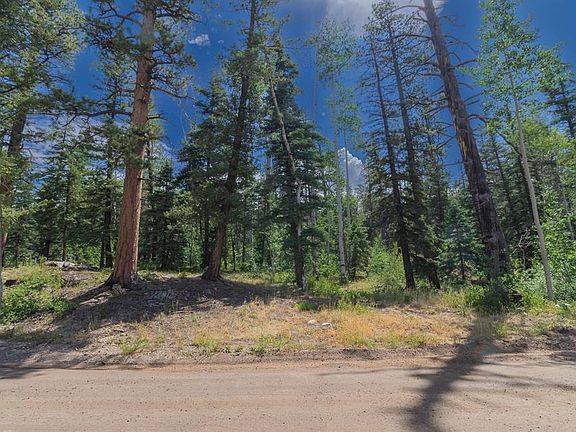4th image of 1332 Lake Purgatory Drive