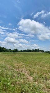 21166 N State Highway 7, Dardanelle, AR, 72834