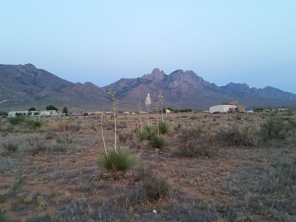 2nd image of Tract 2 Brahman Road
