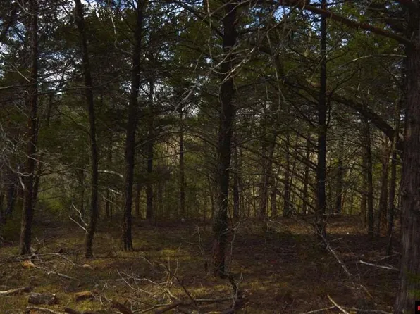 760-27399-000-C Woods Blvd, Bull Shoals, AR 72619