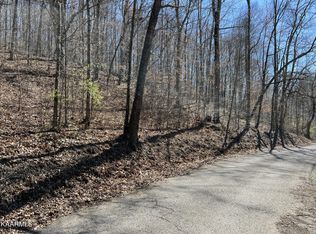 Low Gap Rd, Lafollette, TN 37766