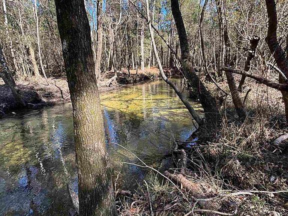 2nd image of 22 Creek Bluff Dr