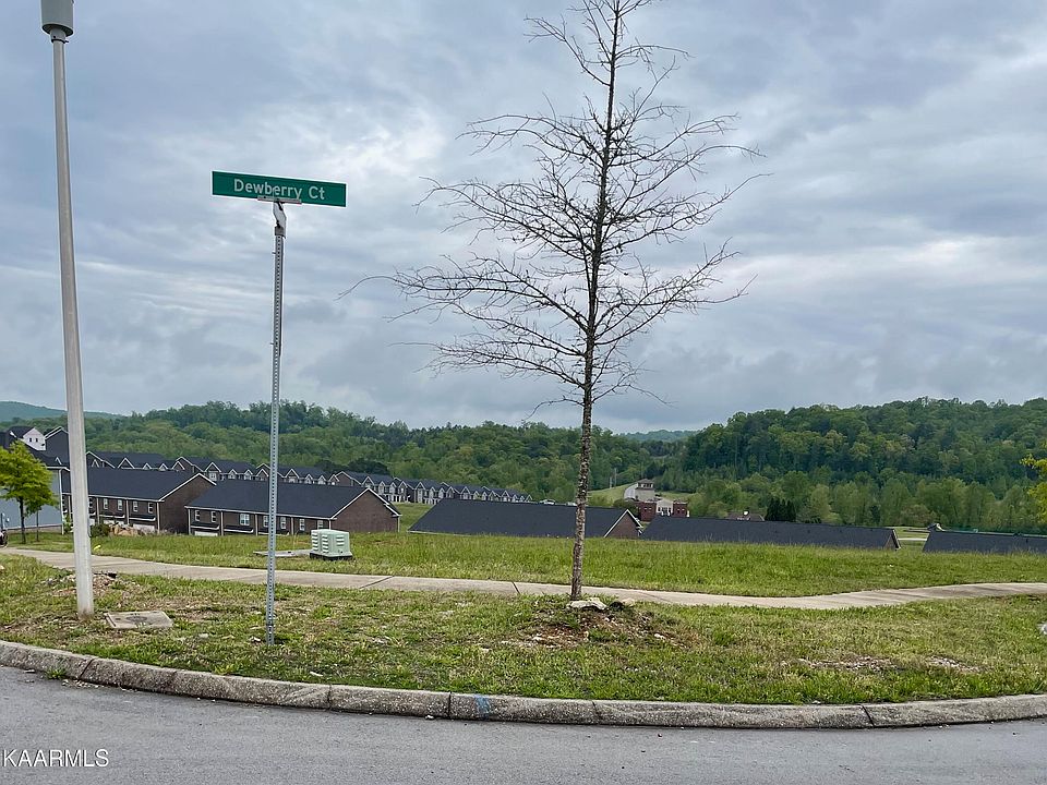 2nd image of 113 Checkerberry Rd