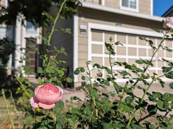 34202 Donahue Ter, Fremont, CA 94555
