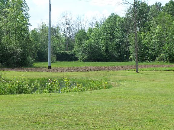 Clover Field into Woods