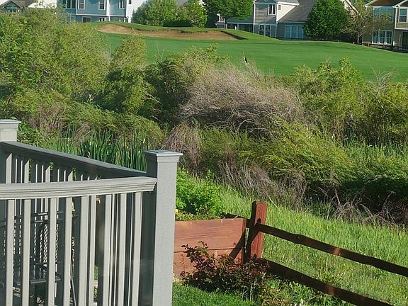 Backyard - view from the master bedroom