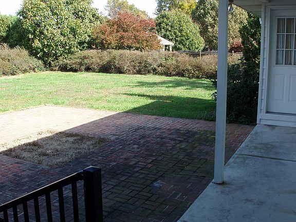 Patio and back yard