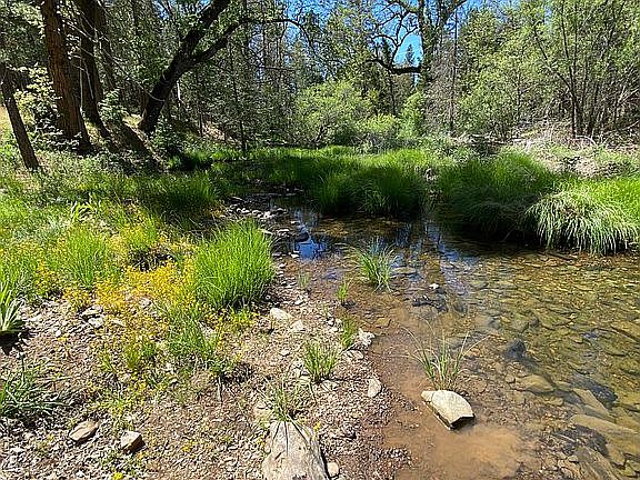 Looking west down stream