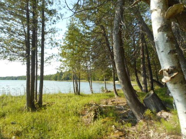 Manistique Lake Mcmillan Real Estate 7 Homes For Sale Zillow