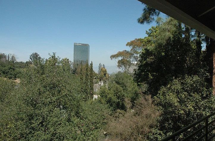 View from porch.