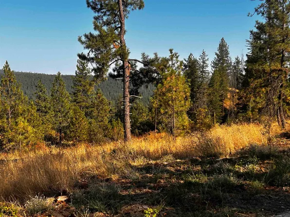 4330192100 Horseshoe Lake Rd, Deer Park, WA 99006