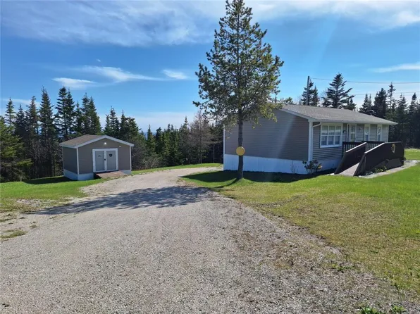 673 Oceanview Drive, Cape St. George, NL A0N1T1