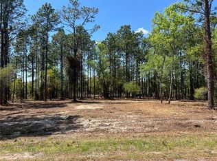 24 SE 130th Ct Lot 24, Dunnellon, FL 34431