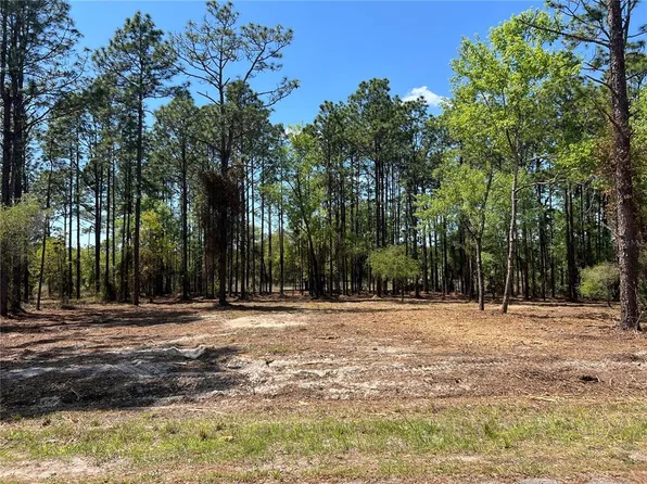 24 SE 130th Ct Lot 24, Dunnellon, FL 34431