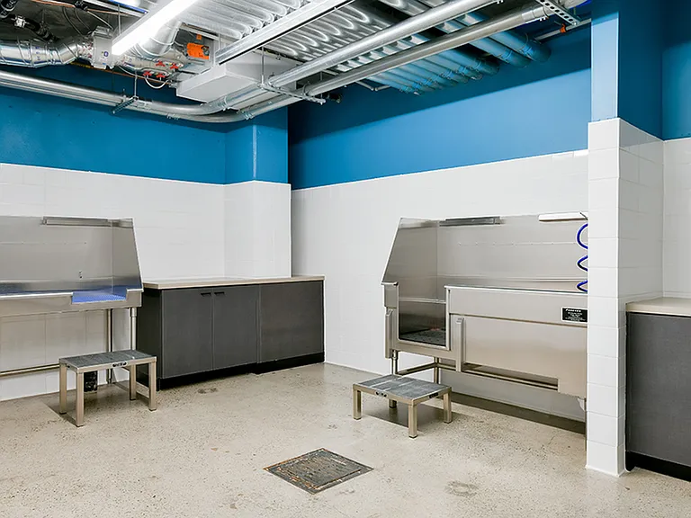 Pet spa with washing stations