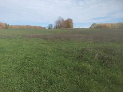 0 Matthews Rd, Atlanta, MI, 49709