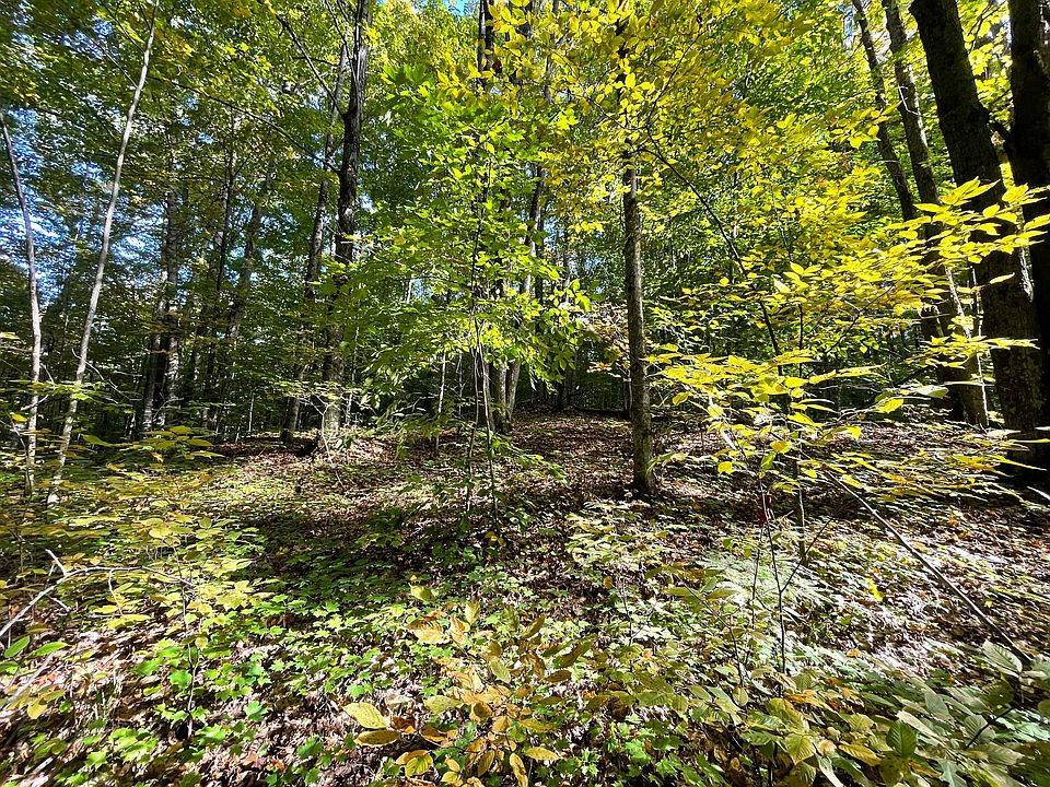 Jo Ca Ln, Vanderbilt, MI 49795 MLS 201821546 Zillow