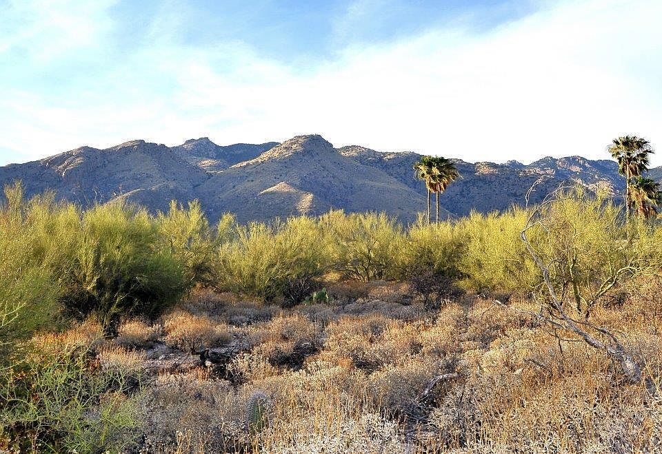 1st image of 6240 N Jochums Dr #20