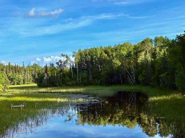 25th Ave SE, Baudette, MN 56623