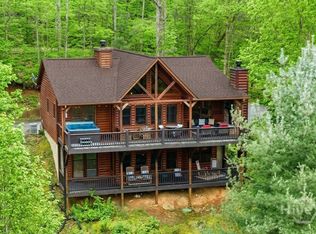 437 Spruce Cir, Mineral Bluff, GA 30559