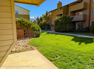82 Roaring Fork Ave APT A2, Carbondale, CO 81623
