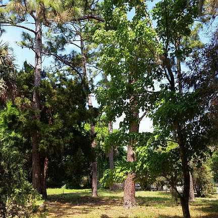 3rd image of 2098 Glendale Blvd