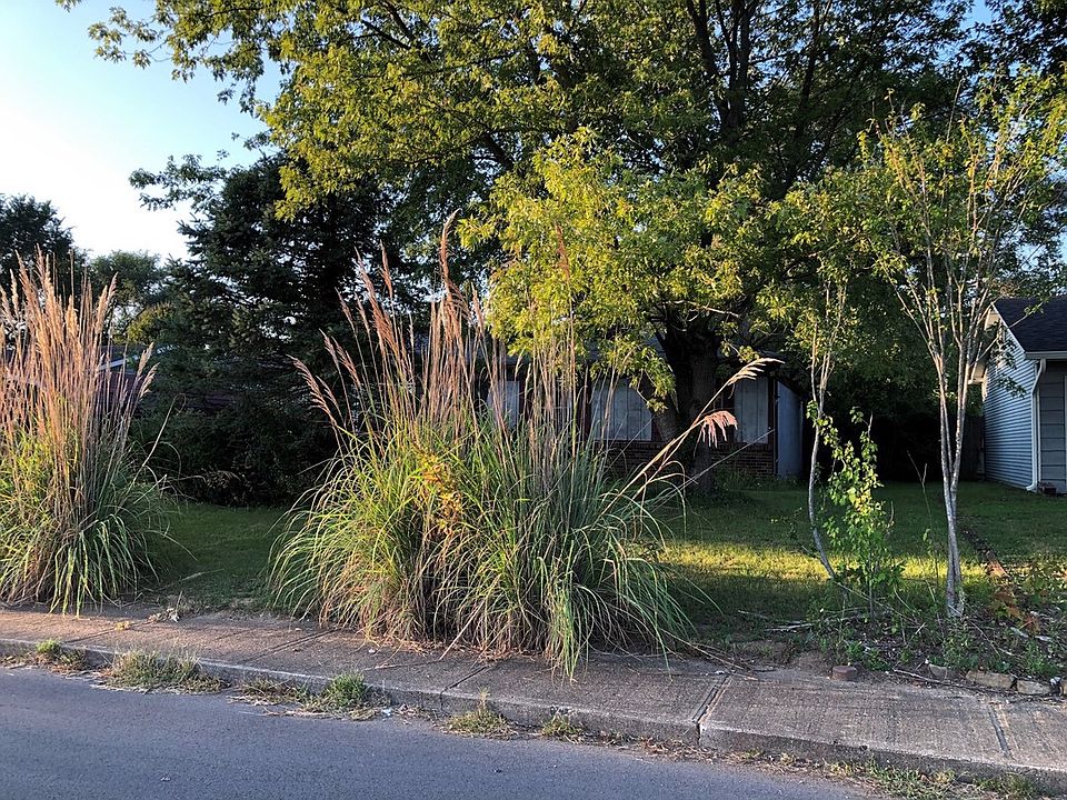 2nd image of 40 Tulip Dr