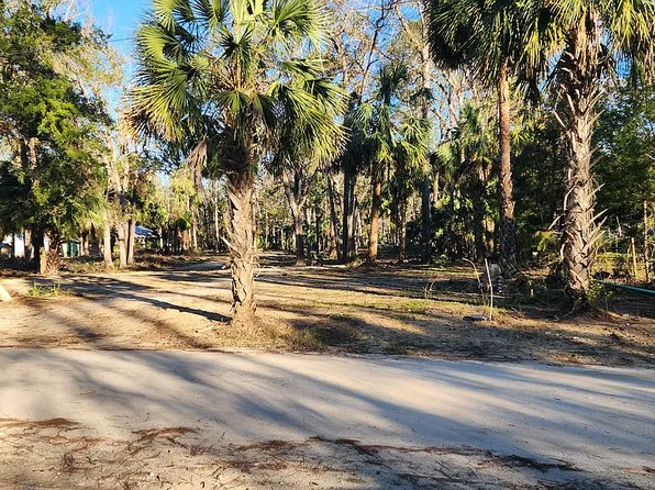 1432 Palm St NE, Steinhatchee, FL 32359