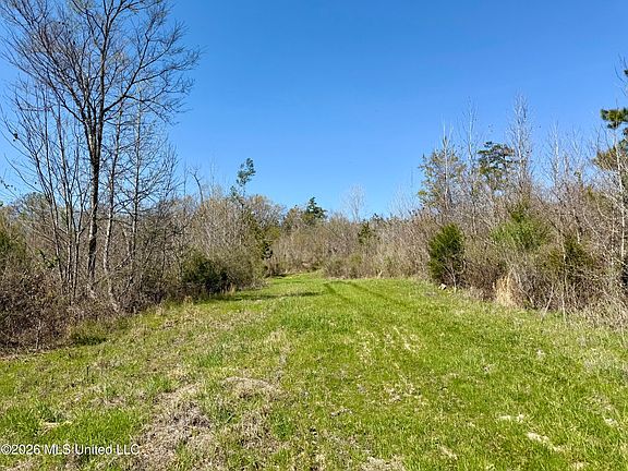 5th image of Brozville Rd